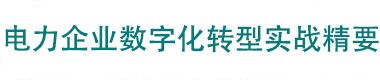 电力企业数字化转型实战精要
